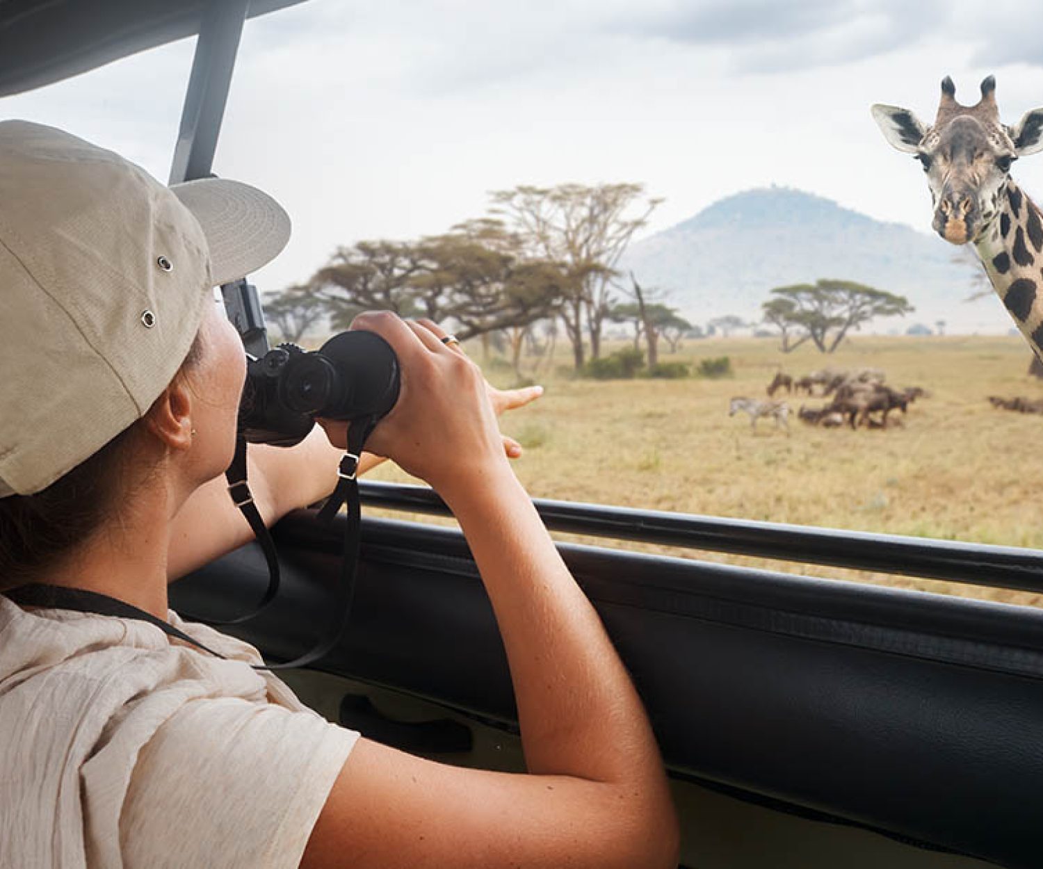 3 MISTAKES that prevent you from selling your BEST SAFARI OFFER - TNT Factory Website Design Studio